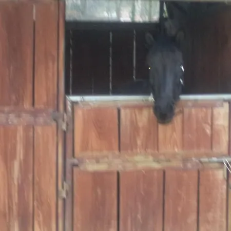 Le Chianine Dei Tognoli * Gragnola