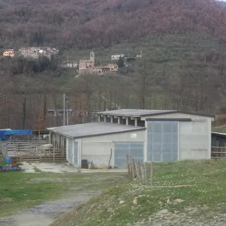 Le Chianine Dei Tognoli Gragnola