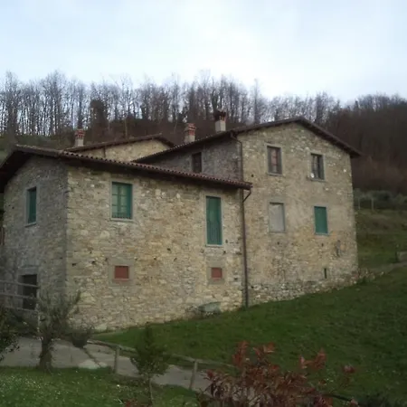 Le Chianine Dei Tognoli
