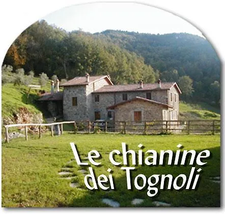 Le Chianine Dei Tognoli Gragnola